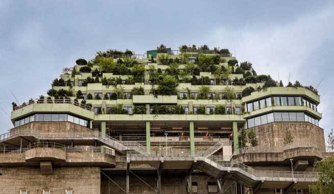 In St. Pauli Grüner Bunker mit Aussicht ist Hamburgs neues Wahrzeichen