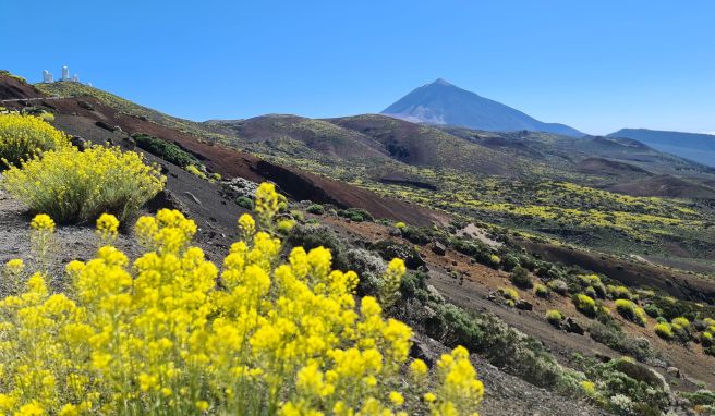 Der Berg Teide auf Teneriffa ist nur eines der Highlights der Kanarischen Inseln.