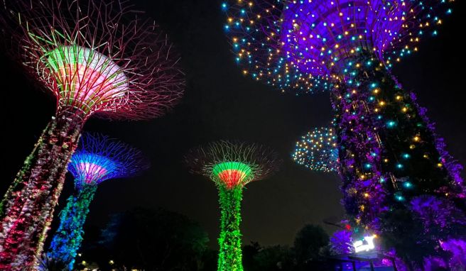 Die Supertrees in den Gardens by the Bay während der abendlichen Lichtshow.