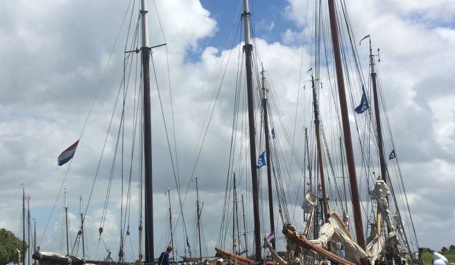 Historische Segelschiffe der sogenannten braunen Flotte der Niederlande: wie eine Kontrolle zeigte, sind viele von ihnen ohne gültige Papiere unterwegs.