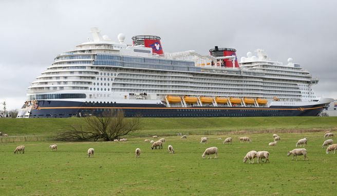 Das neugebaute Kreuzfahrtschiff «Disney Wish» hat die Papenburger Meyer-Werft verlassen und fährt auf der Ems den Weg in Richtung Nordsee. 