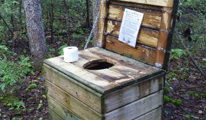 Schweißströme und Glücksmoment Temagami: Entschleunigung im kanadischen Paddelparadies