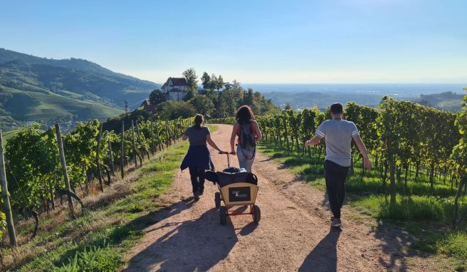 Tastingevents zwischen Reben Mit Bollerwagen und Hex: Weinwandern am Schwarzwaldrand