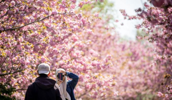 REISE & PREISE weitere Infos zu Weniger Fotos, mehr Urlaub: Schöne Momente bleiben im Kopf