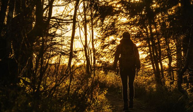 Besinnliches Wandern Wege zum Trend: Das Angebot an Achtsamkeitspfaden wächst