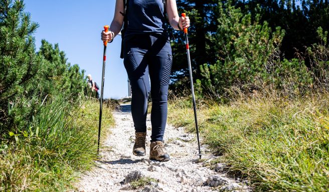 Helfer bei Auf- und Abstieg Darauf kommt es bei Wanderstöcken wirklich an