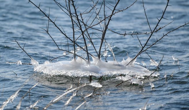 Lausitzer Seenland will Touristen auch im Winter locken Wandertouren und Skihalle