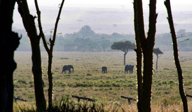 Kenia-Reisen: Eine elektronische Reisegenehmigung (ETA) ist jetzt erforderlich. Was die Einreise erleichtern soll, sorgt aber auch für Verwirrung.