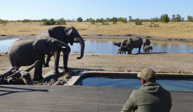 Simbabwe  Auf Pirsch im Elefantenparadies