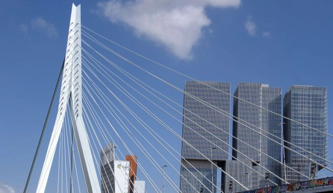 Die Erasmusbrücke ist eines der Wahrzeichen von Rotterdam.