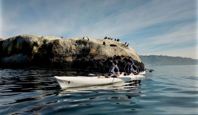 Die Seevögel sagen Hallo: Die Kap-Halbinsel lässt sich gut vom Wasser aus erkunden. 
