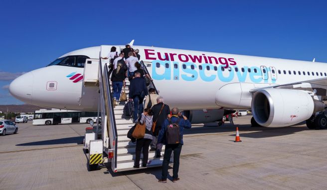 Ferne Abenteuer  Lufthansa-Tochter fliegt künftig Krüger-Nationalpark an