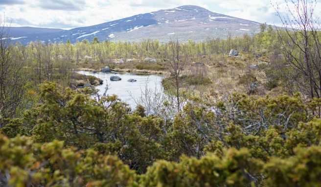 Im Femundsmarka-Nationalpark ist die Landschaft geprägt von Seen, Flüssen, Wäldern und Fjells.