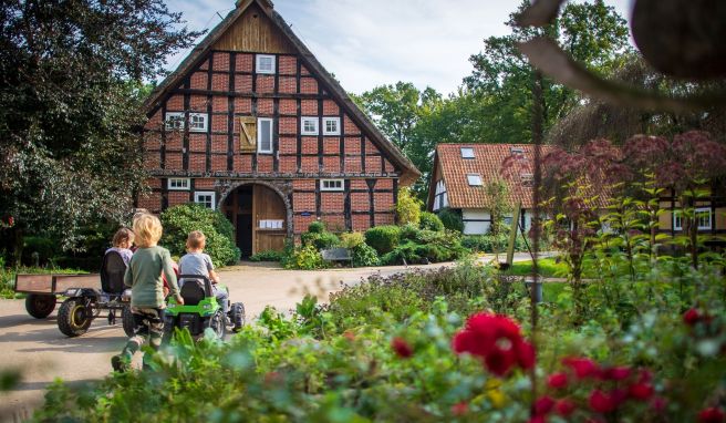 REISE & PREISE weitere Infos zu Ferienhöfe in Niedersachsen gut gebucht