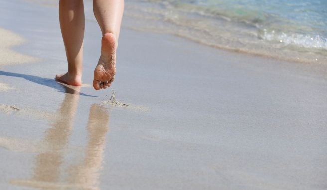 REISE & PREISE weitere Infos zu Beißende Fische schrecken Schwimmer in Südfrankreich auf