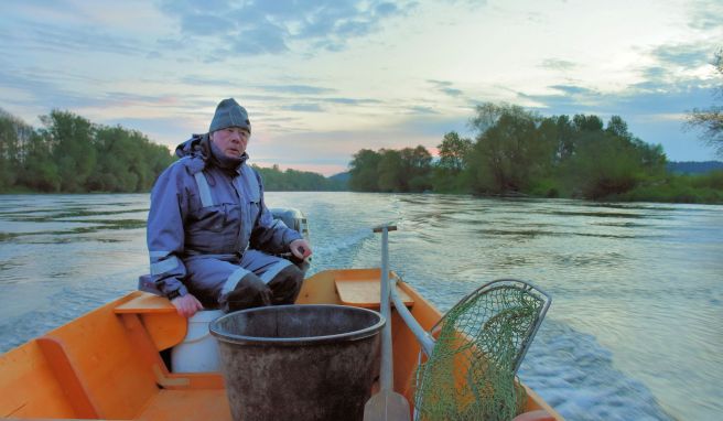Auf der Donau Zillenfahrt im Morgengrau: An Bord beim letzten Fischer