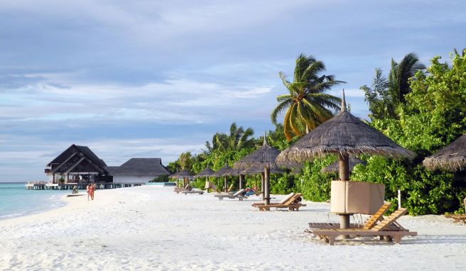 Strand, Meer, Palmen - und sonst fast nichts: Die Malediven sind ein klassisches Flitterwochen-Traumziel.