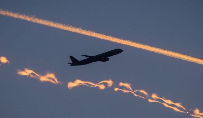 Laut Lufthansa-Vorstand Harry Hohmeister wird sich an der Billigpreispolitik vieler Airlines vorerst nichts ändern. 