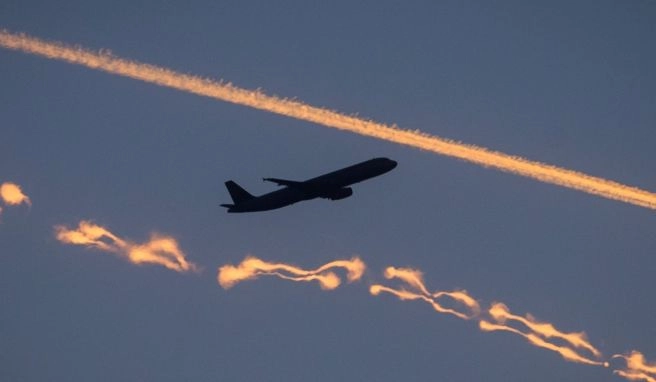 Preiskampf im Luftverkehr Lufthansa rechnet vorerst weiter mit billigen Flugtickets