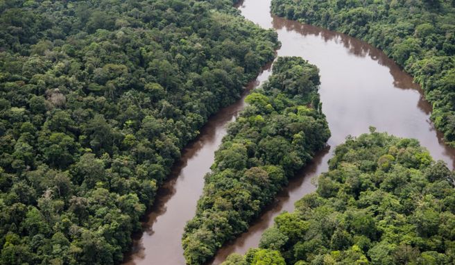 Regenwald und Fluss Ampari etwa 10 Meilen südöstlich vom Nationalpark Tumucumaque.