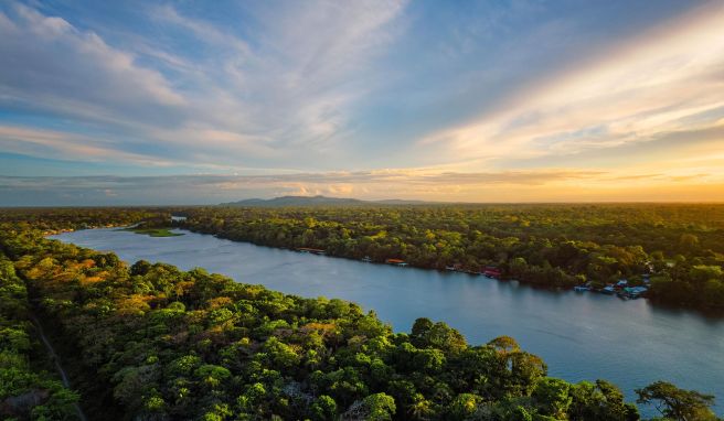 Wildnis in Mittelamerika