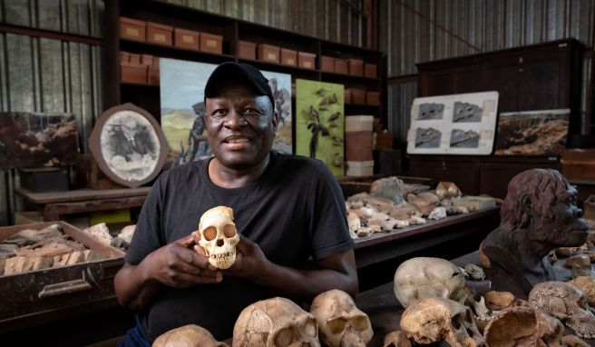 Wiege der Menschheit Berühmte Höhlen in Südafrika wieder offen