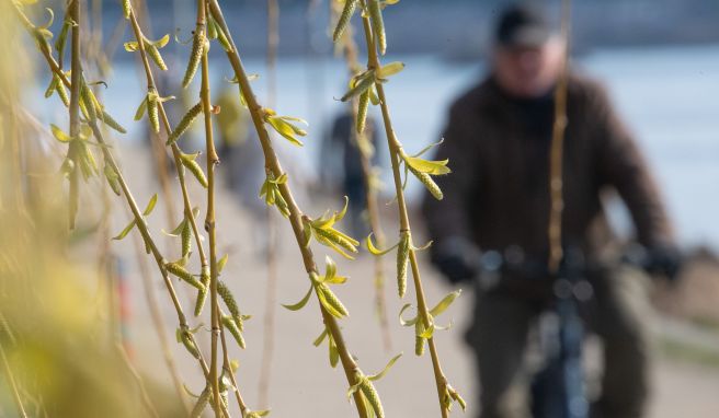 REISE & PREISE weitere Infos zu Der Frühling kommt: Keine Entwarnung für Hessens Wälder