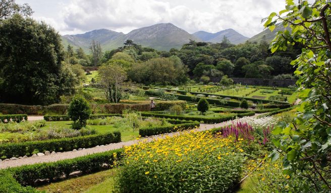 Im Garten von Kylemore Abbey wachsen nur Pflanzen, wie schon im Viktorianischen Zeitalter. 