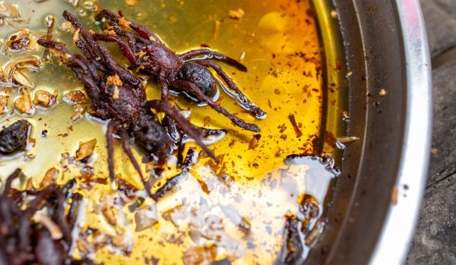 In Kambodscha gelten gebratene Vogelspinnen in pikanter Sauce als Delikatesse.