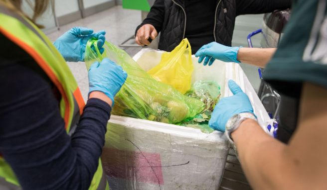 Pflanzliche Mitbringsel  Bußgeld droht: Einfuhr von Samen und Früchten gut prüfen