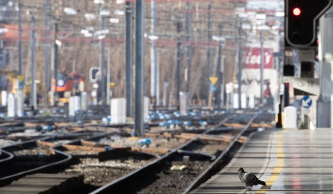 Wegen eines Generalstreiks sind in Belgien derzeit nur noch ein Viertel der Züge im Einsatz. 