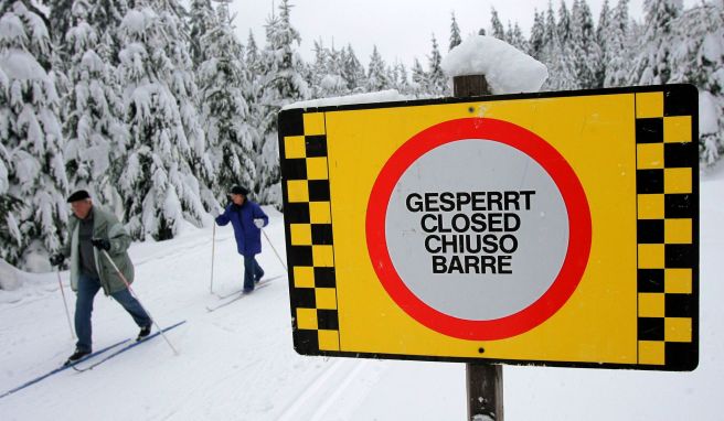 Abbrechende Baumkronen und Äste, die der Schnee- und Eislast nicht mehr standhalten können, sind für Wintersportler ernstzunehmende Gefahren. Erste Loipen wurden bereits gesperrt.