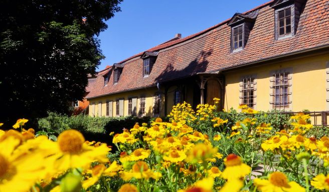 Weimar in Thüringen Goethes grüner Daumen: In den Gärten des Dichterfürsten