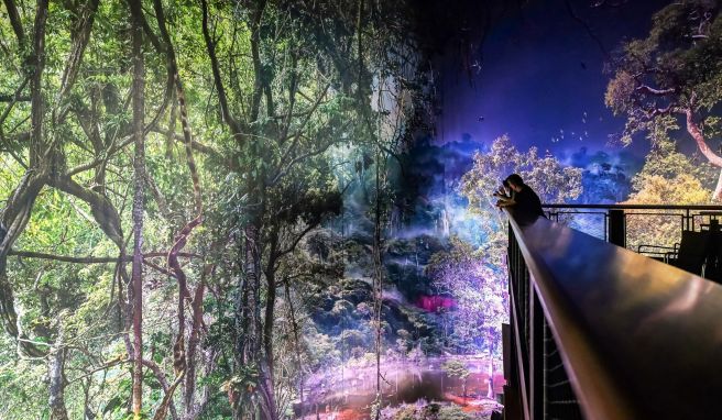 Im Gasometer Pforzheim wird das 360-Grad-Panorama «Amazonien – Faszination Regenwald» gezeigt, ein Werk des Künstlers Yadegar Asisi.