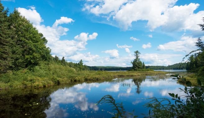 Spiegelzauber im Seenland: Der Haliburton Forest ist mit seiner landschaftlichen Vielfalt auch was fürs Auge - bei Schönwetter in jedem Fall.