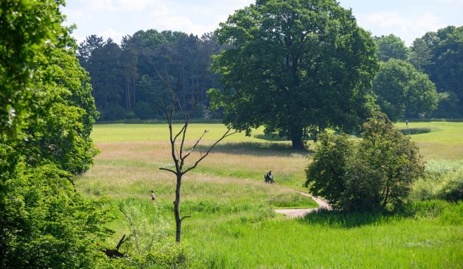 Die Loki Schmidt Stiftung lädt am 18. und 19. Juni wieder zum «Langen Tag der StadtNatur». Rund 250 Veranstaltungen in Hamburg und Metropolregion stehen auf dem Programm. Die Loki Schmidt Stiftung lädt am 18. und 19. Juni wieder zum «Langen Tag der StadtNatur». Rund 250 Veranstaltungen in Hamburg und Metropolregion stehen auf dem Programm.