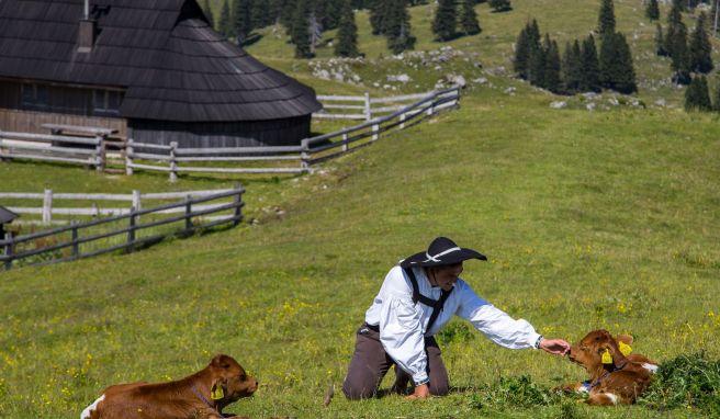 Žan Potočnik verbringt den Sommer als Hirte auf der Velika planina. Mit Anfang 20 ist er der Jüngste in der Gemeinschaft. 