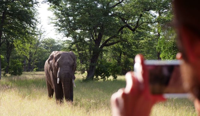 Fernreisen Ins «warme Herz Afrikas»: Fünf Gründe für eine Malawi-Reise