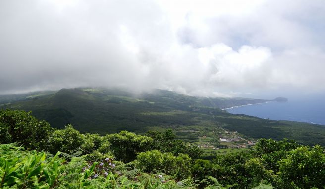 Faial: Vulkane und Seebären auf der blauen Insel der Azoren Seltene Naturschönheit