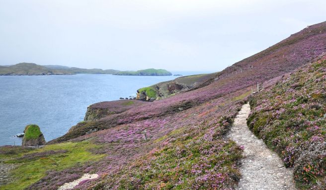 Auf der Insel Muckle Roe laden schmale Pfade zum Wandern ein.