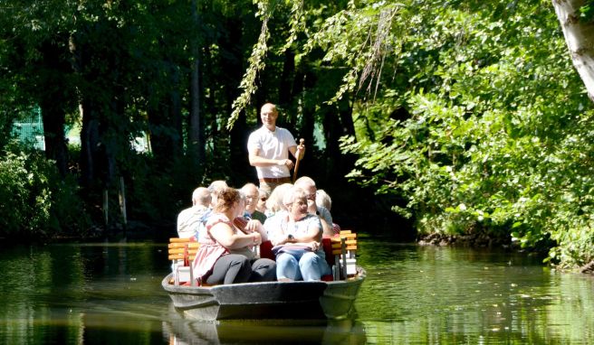 Brandenburg  Kahnfahrten im Spreewald: Noch fließt es in den Fließen