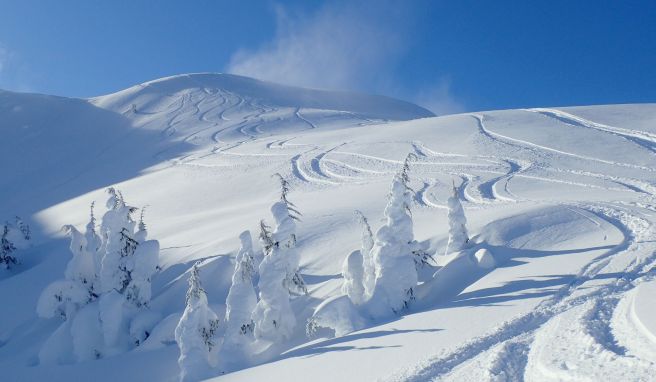 Keine präparierten Pisten in Sicht: In die kanadischen Berge zieht es vor allem Tiefschneebegeisterte. 