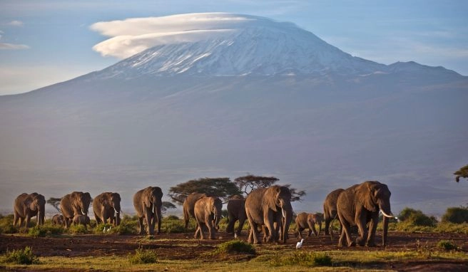 Großfeuer auf dem Kilimandscharo wütet weiter