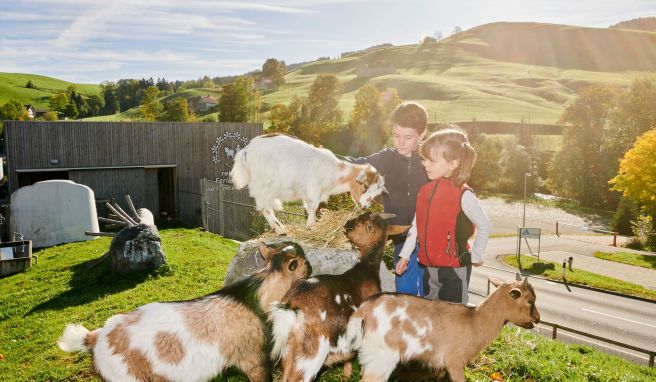 Appenzellerland Die Schweiz und günstig? Zu Besuch im Feriendorf in Urnäsch