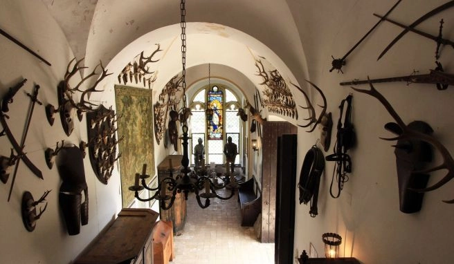 Deutschlandreise Mittleres Rheintal: Burgen, Riesling und Romantik