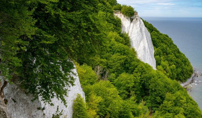 Der Königsstuhl an der Kreideküste im Nationalpark Jasmund ist ein Wahrzeichen der Insel Rügen. 