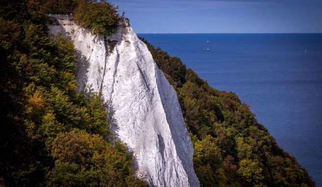 Aussichtsplattform auf Rügen  Königswegs 2023 - Eröffnung zu Ostern angestrebt