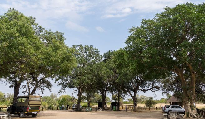 REISE & PREISE weitere Infos zu Krüger-Nationalpark bekommt Rundumerneuerung