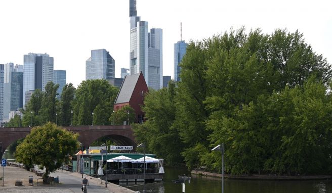 Versteckt zwischen Bäumen steht die Kunsthalle Portikus auf einer kleinen Maininsel an der Alten Brücke. Versteckt zwischen Bäumen steht die Kunsthalle Portikus auf einer kleinen Maininsel an der Alten Brücke.