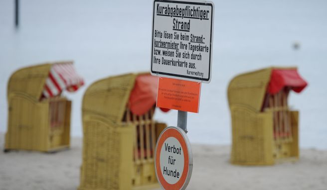 Reisekasse im Blick Studie: Große Unterschiede bei der Kurtaxe